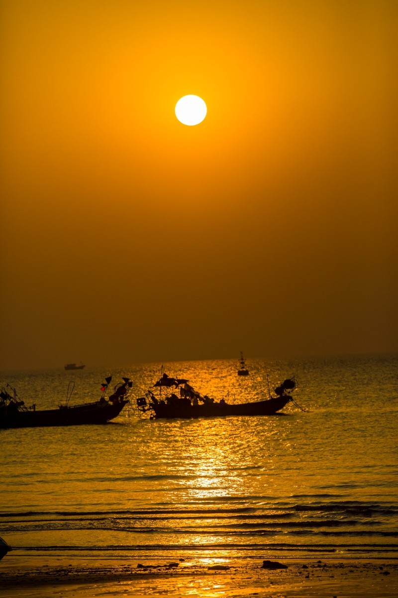 外出随拍（续322）.