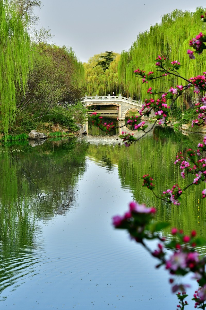 【视觉光影】明 湖 景 色（10）