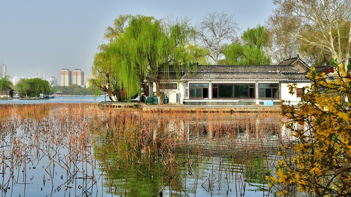 【视觉光影】明 湖 景 色（10）