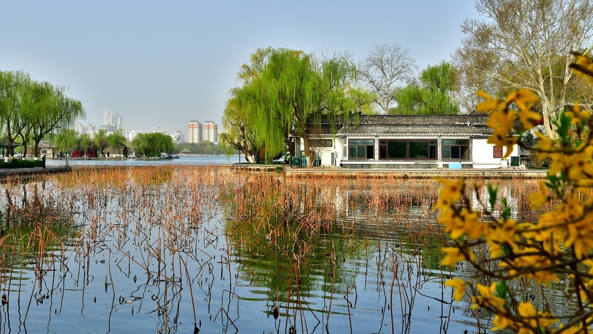 【视觉光影】明 湖 景 色（10）