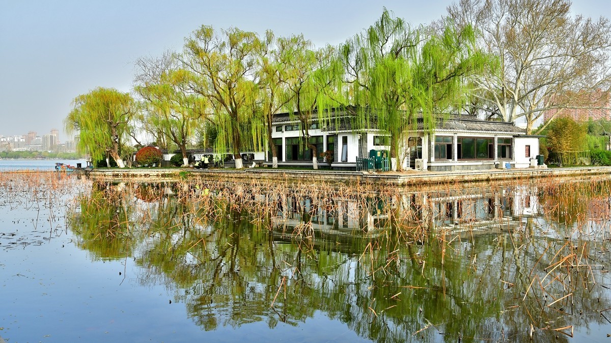 【视觉光影】明 湖 景 色（10）