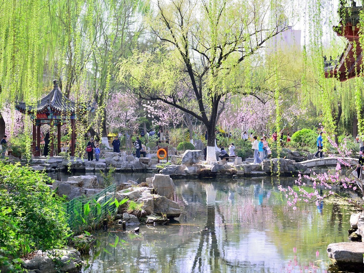 【视觉光影】明 湖 景 色（10）