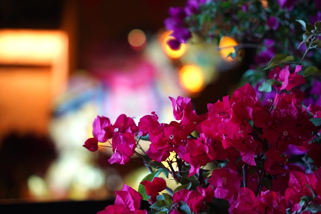 惠山古镇夜拍表演