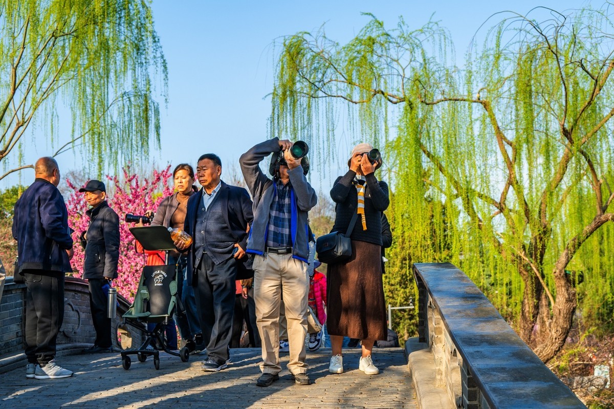 江南行—扬州瘦西湖—(40)—(22)