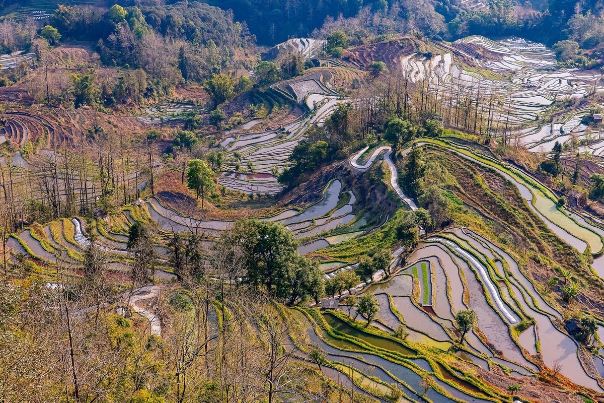 旅游记录 ：云南 · 红河 · 元阳 · 哈尼梯田 · 老虎嘴片区