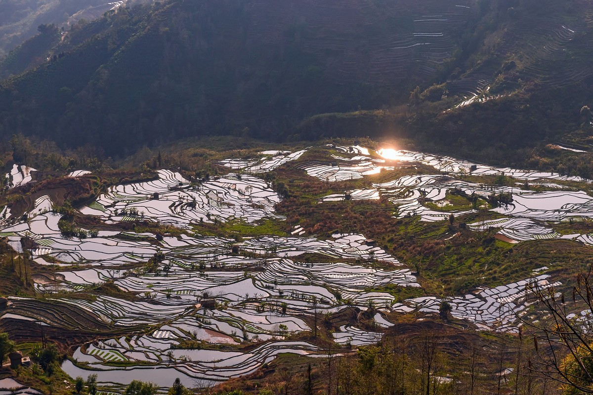 旅游记录 ：云南 · 红河 · 元阳 · 哈尼梯田 · 老虎嘴片区