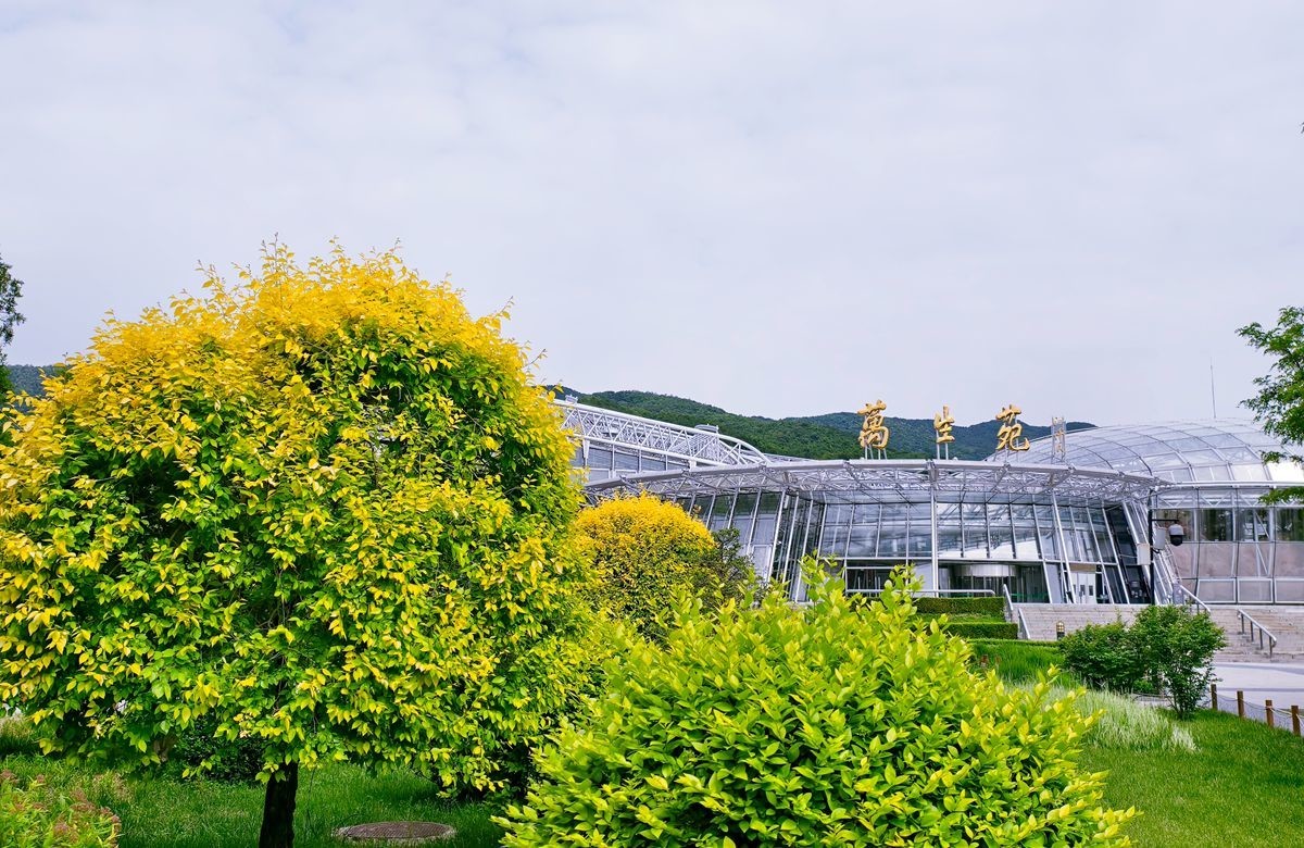 植物园【八】