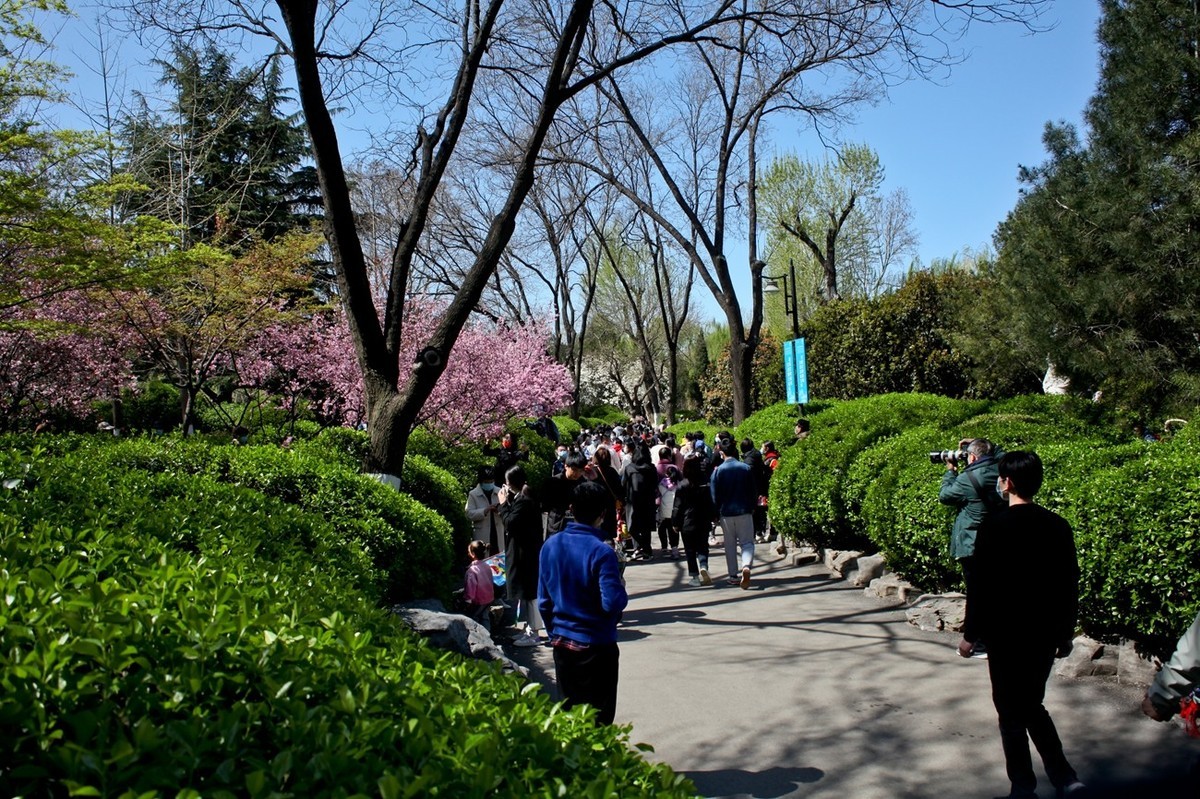 春天——公园景色