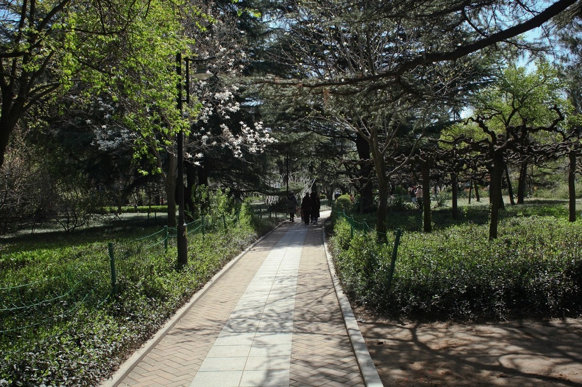 春天——公园景色