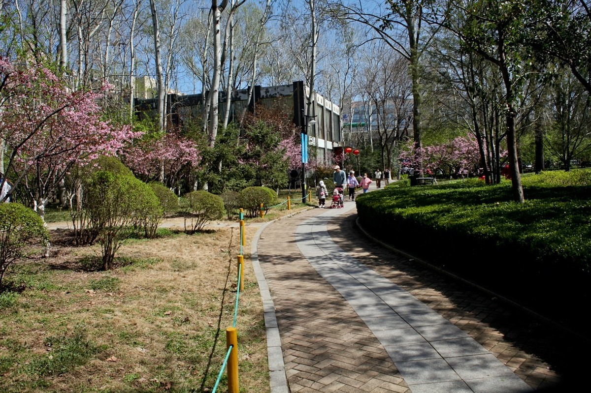 春天——公园景色