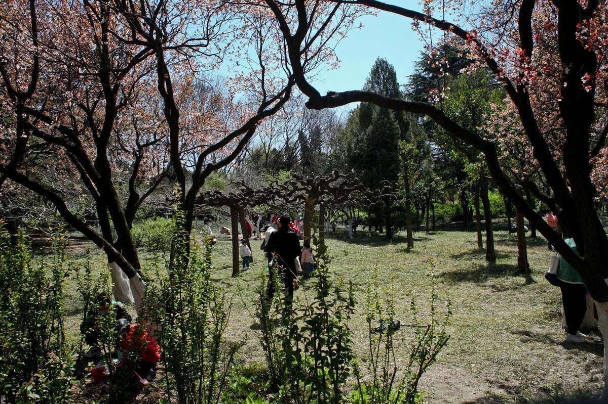 春天——公园景色