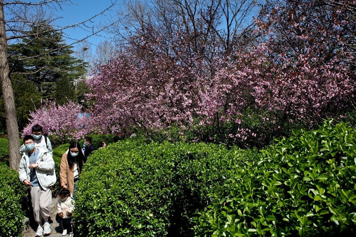 春天——公园景色