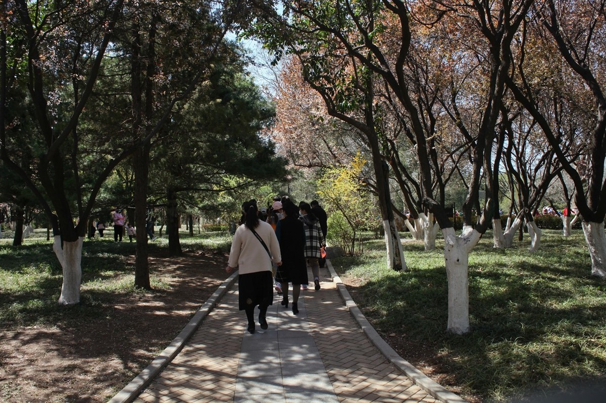 春天——公园景色