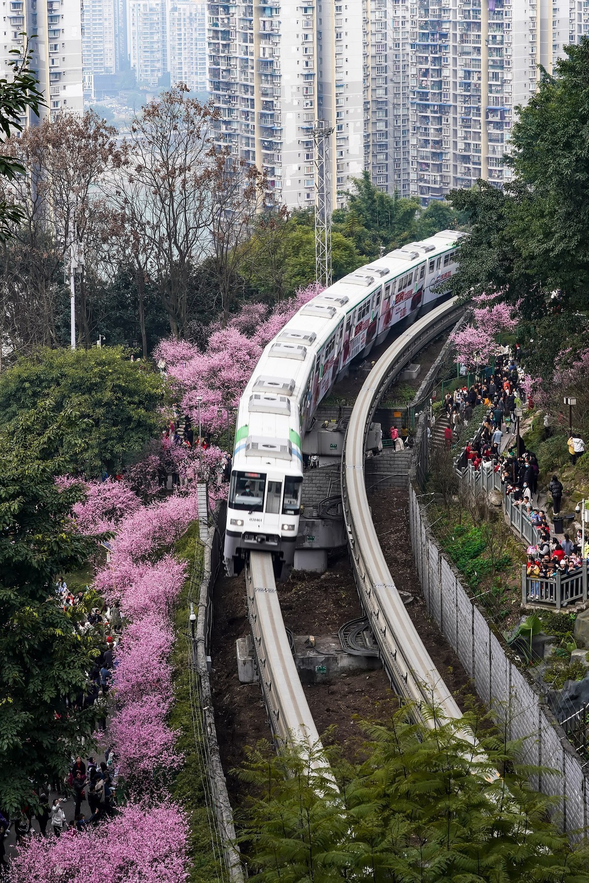 #版主坐堂#索尼大版星空(中国)2022年4月份优秀作品精选汇总