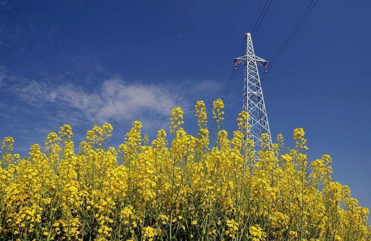 #版主坐堂#索尼大版星空(中国)2022年4月份优秀作品精选汇总