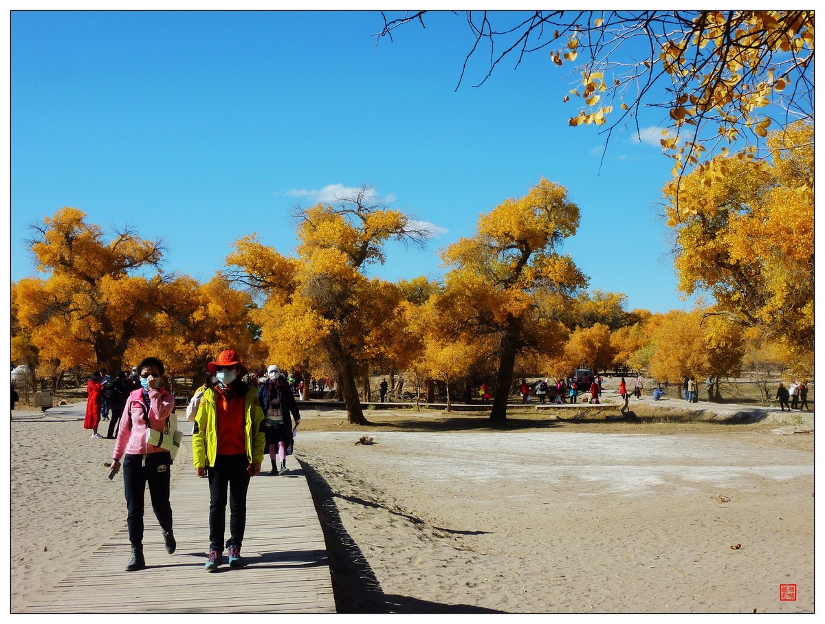 #留住美丽秋天#------内蒙额济纳胡杨林