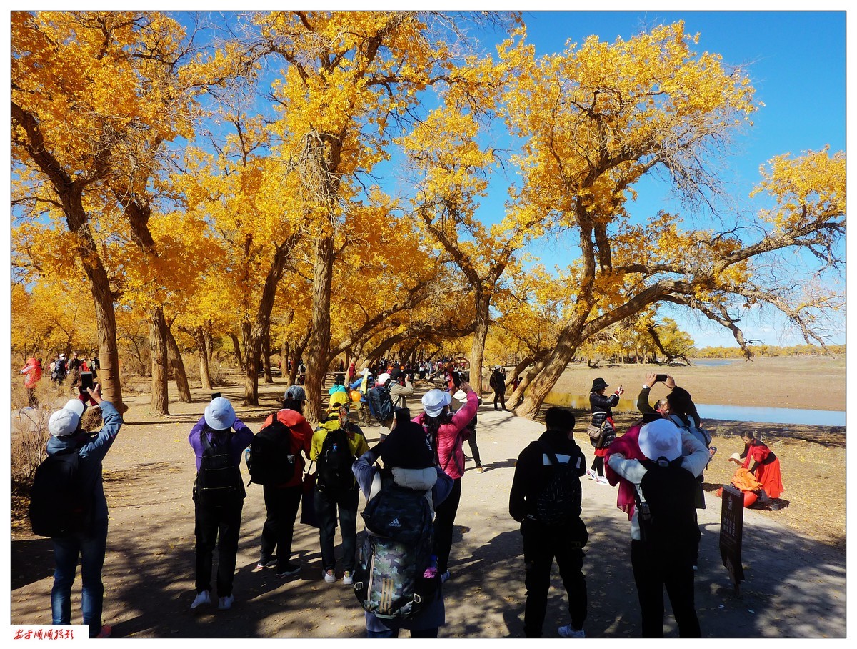 #留住美丽秋天#------内蒙额济纳胡杨林