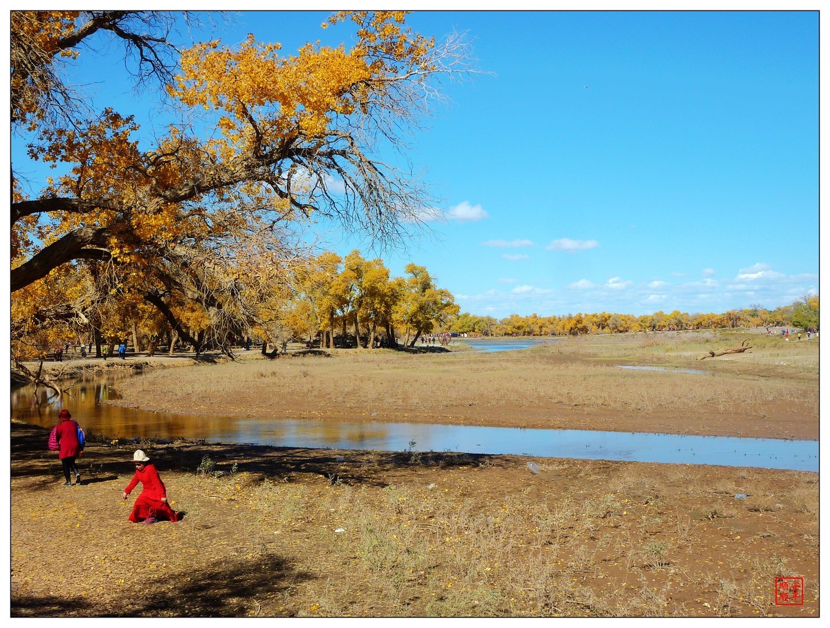 #留住美丽秋天#------内蒙额济纳胡杨林