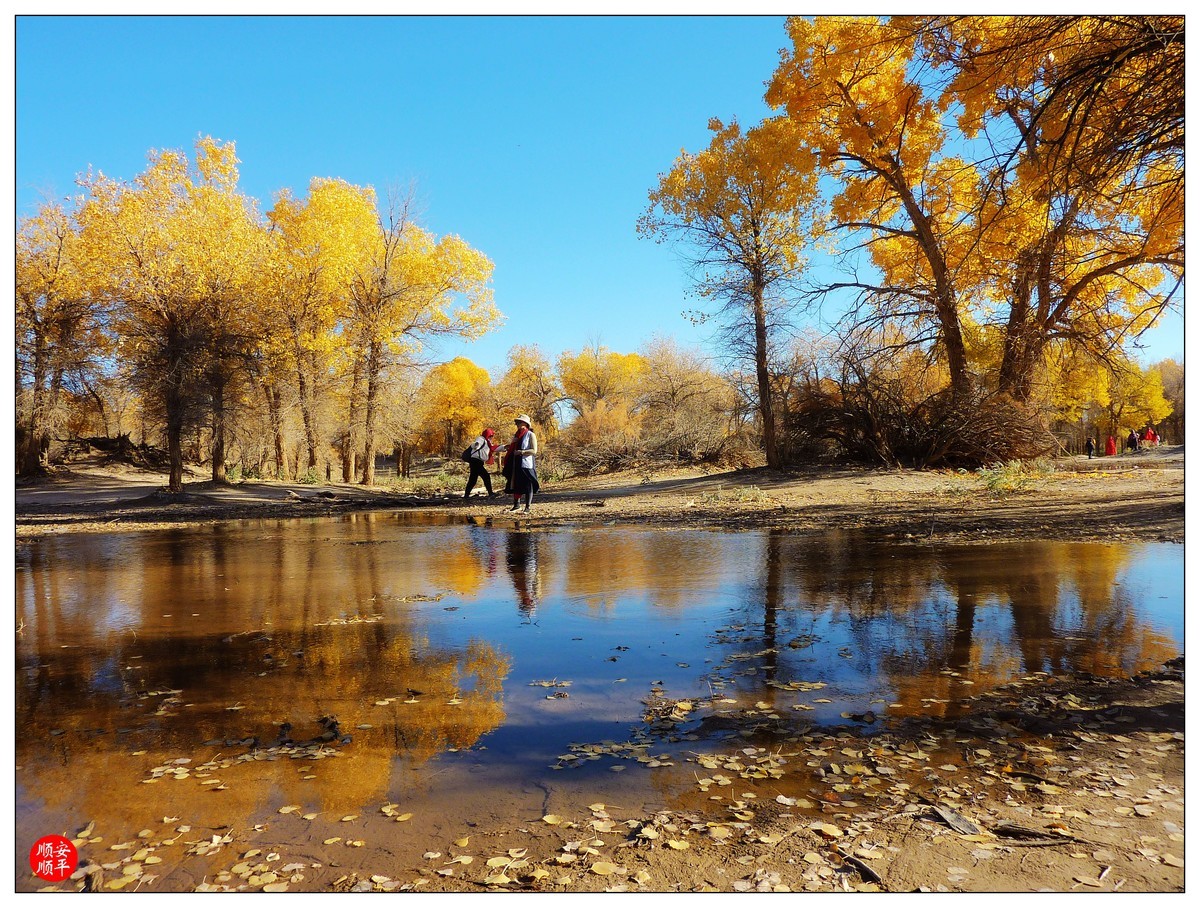 #留住美丽秋天#------内蒙额济纳胡杨林