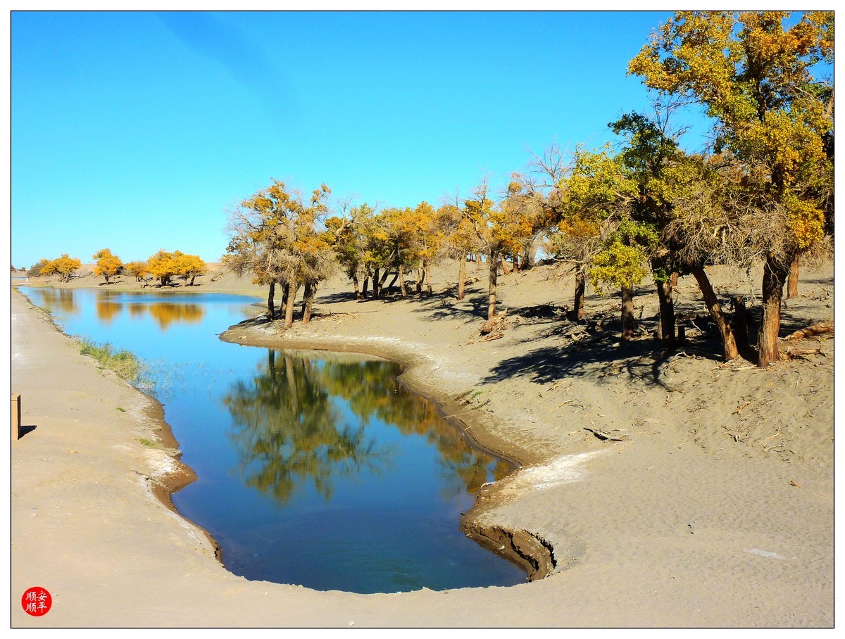 #留住美丽秋天#------内蒙额济纳胡杨林