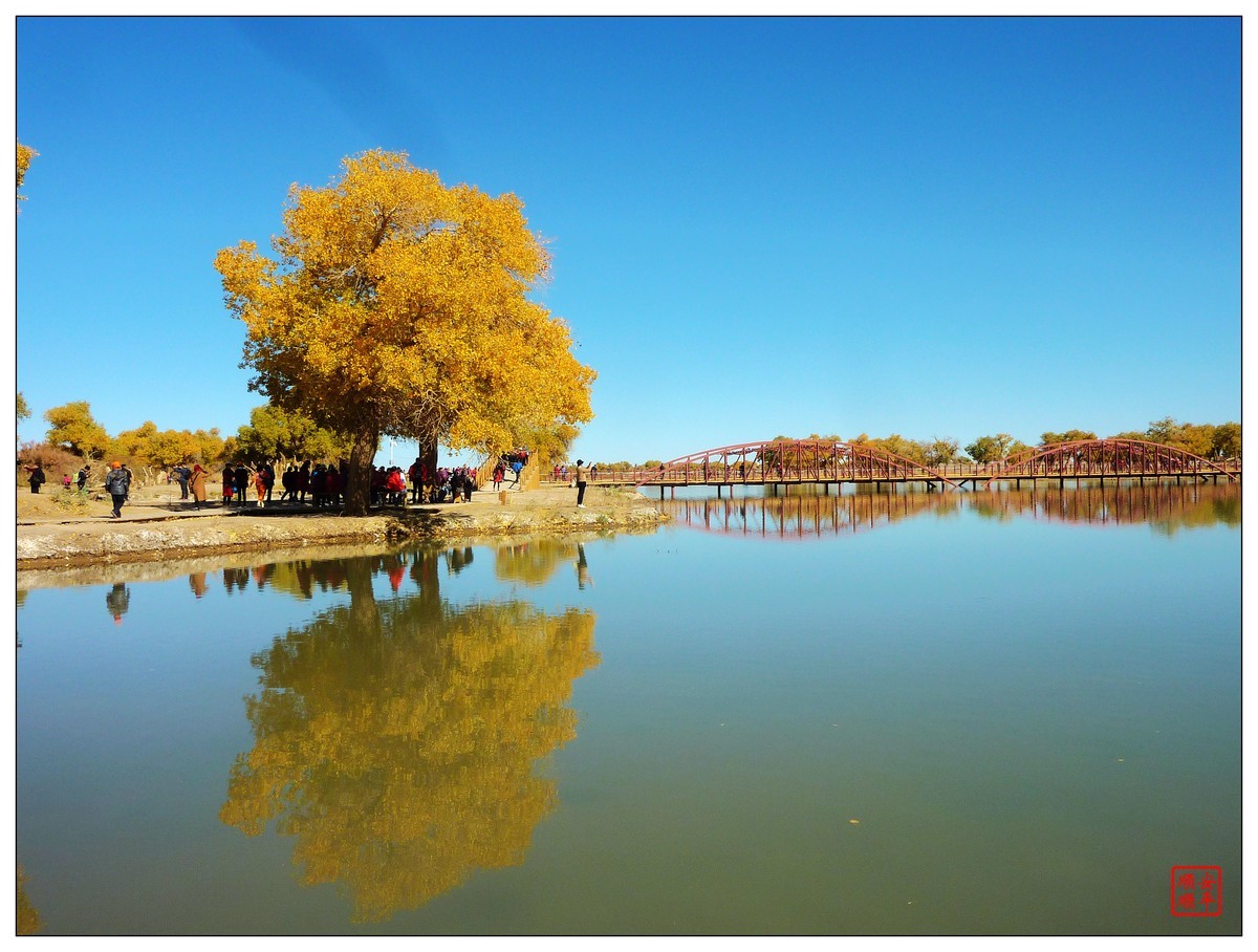 #留住美丽秋天#------内蒙额济纳胡杨林