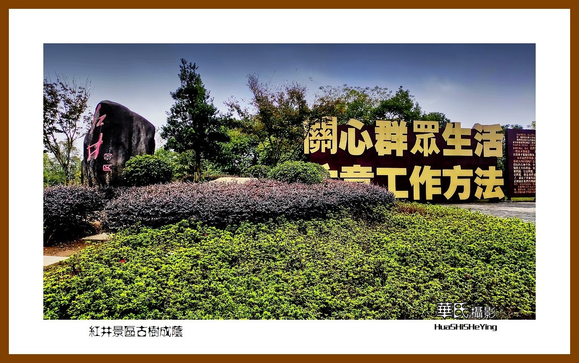 2021南行慢游江西040——红井景区古树成荫（赣州市瑞金沙洲坝）