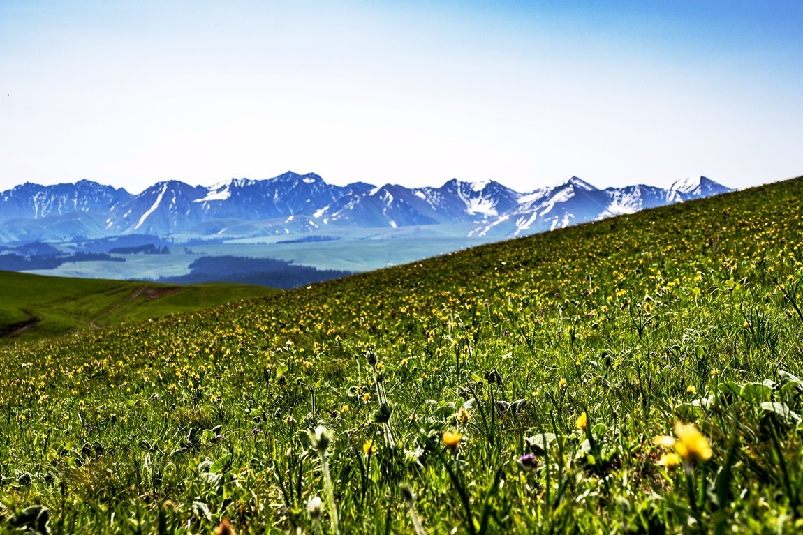 新疆行游--喀拉峻草原【5】