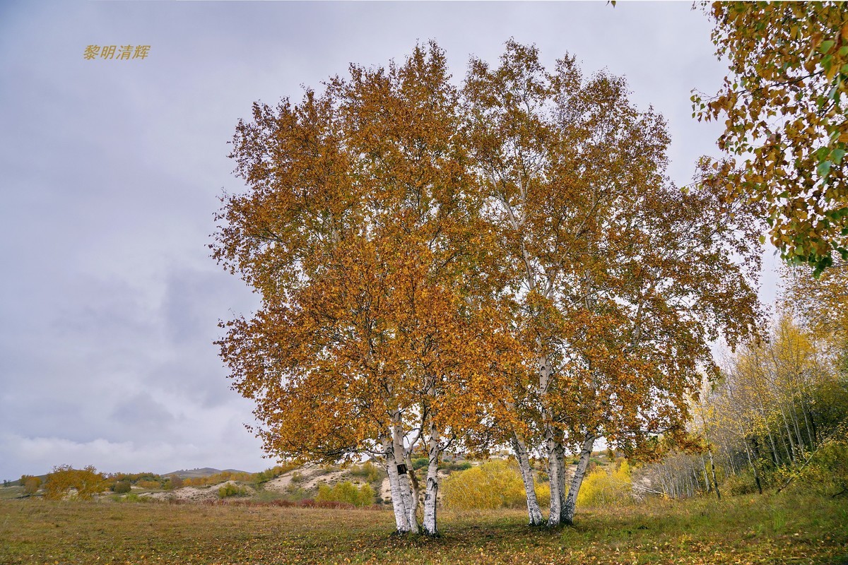 坝上行（012）：蟠龙沟—4