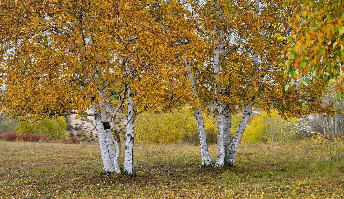 坝上行（012）：蟠龙沟—4