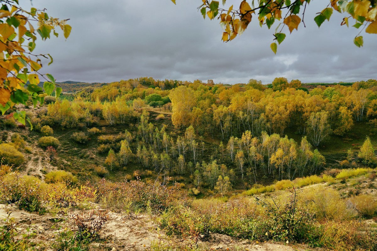 坝上行（012）：蟠龙沟—4