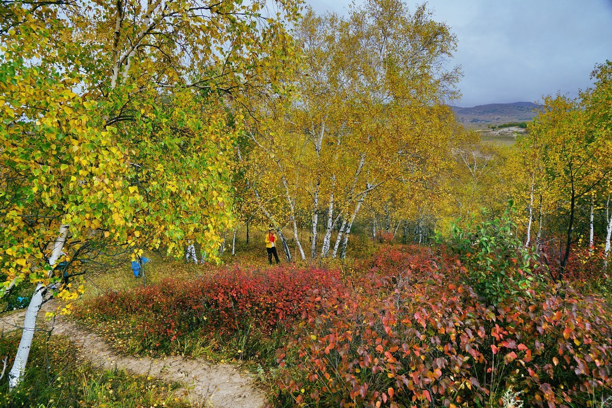 坝上行（012）：蟠龙沟—4