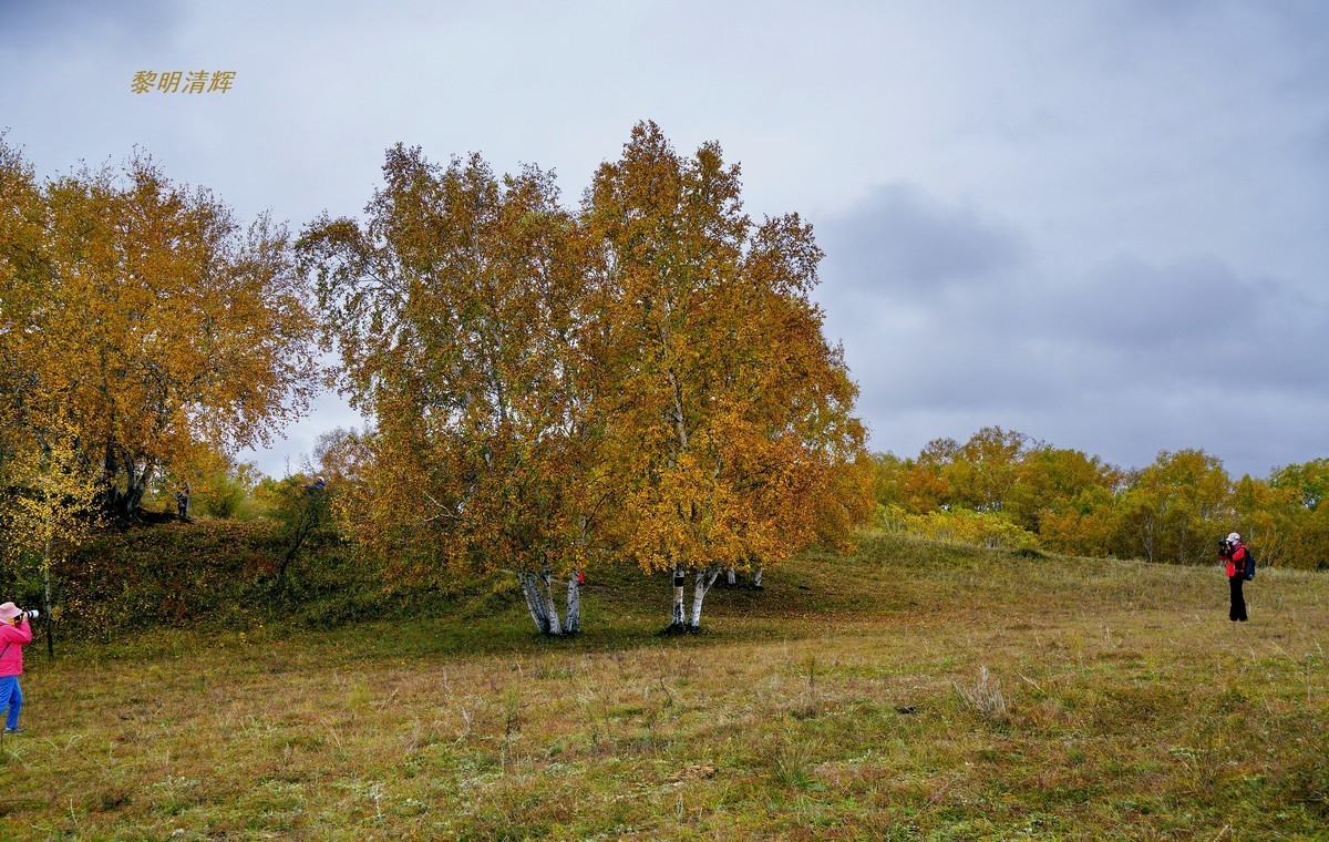 坝上行（012）：蟠龙沟—4