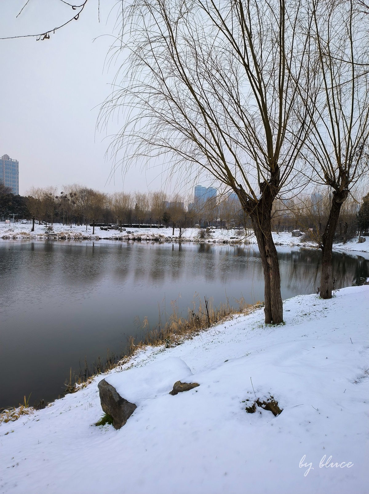 2024公园雪后小景