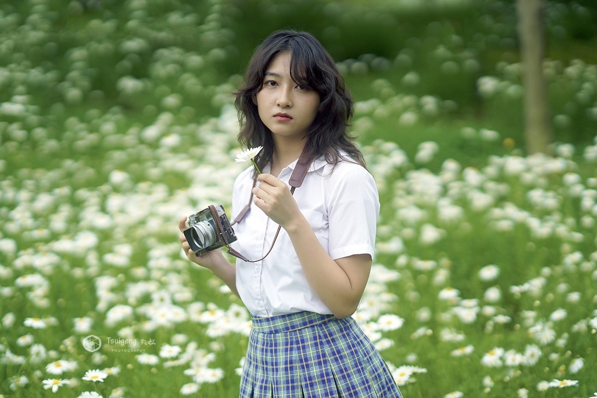 安一小雏菊-中关村在线摄影论坛