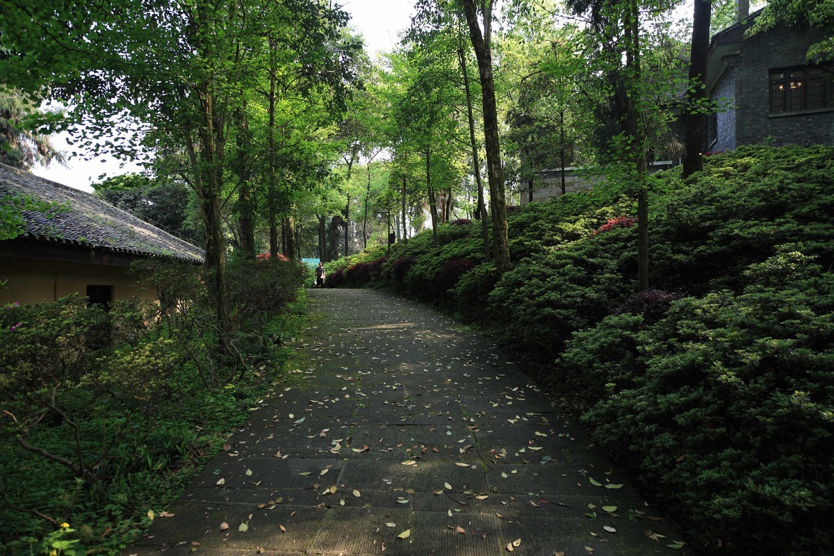 抗战时期国民政府南山官邸