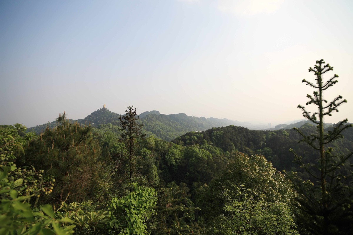 抗战时期国民政府南山官邸