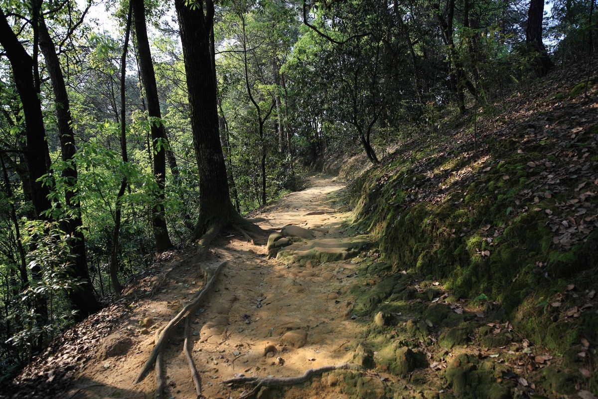 抗战时期国民政府南山官邸