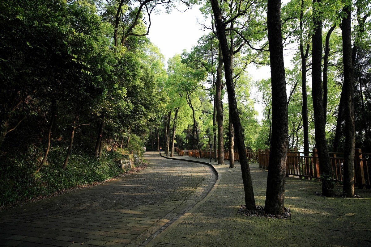 抗战时期国民政府南山官邸