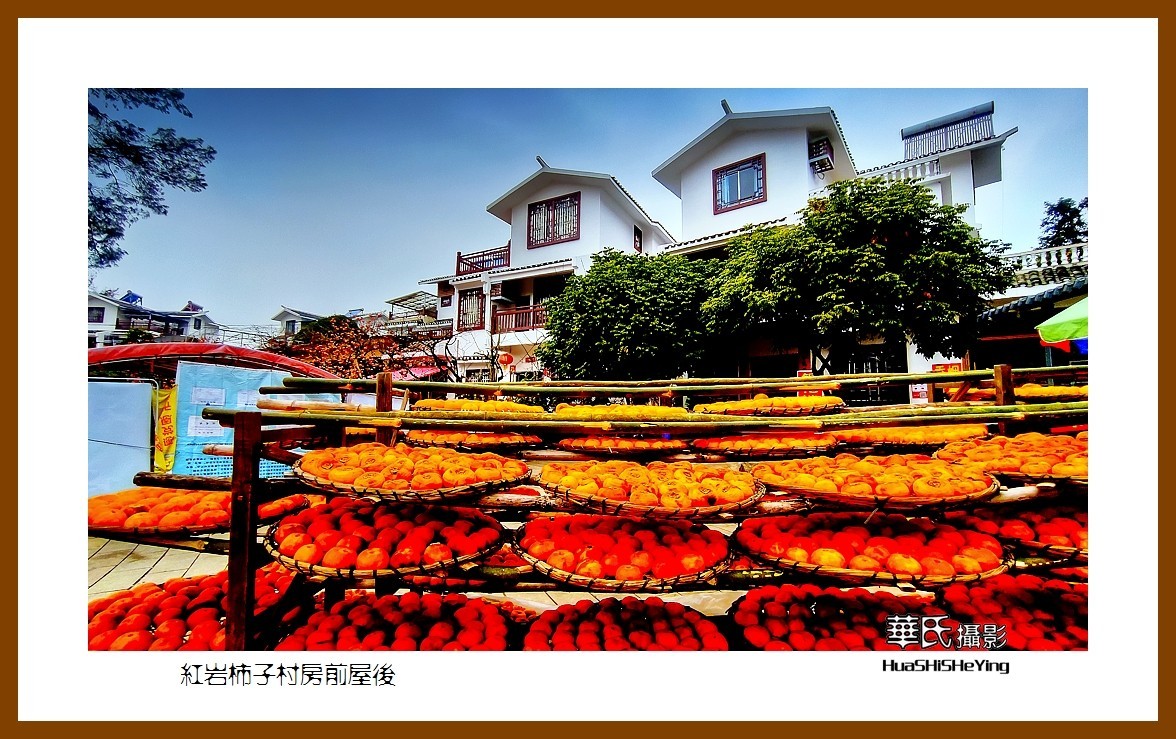 2021南行慢游（广西111）——红岩柿子村房前屋后（桂林市恭城县）