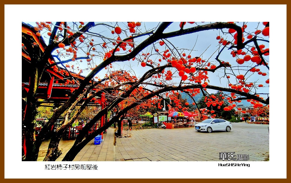 2021南行慢游（广西111）——红岩柿子村房前屋后（桂林市恭城县）