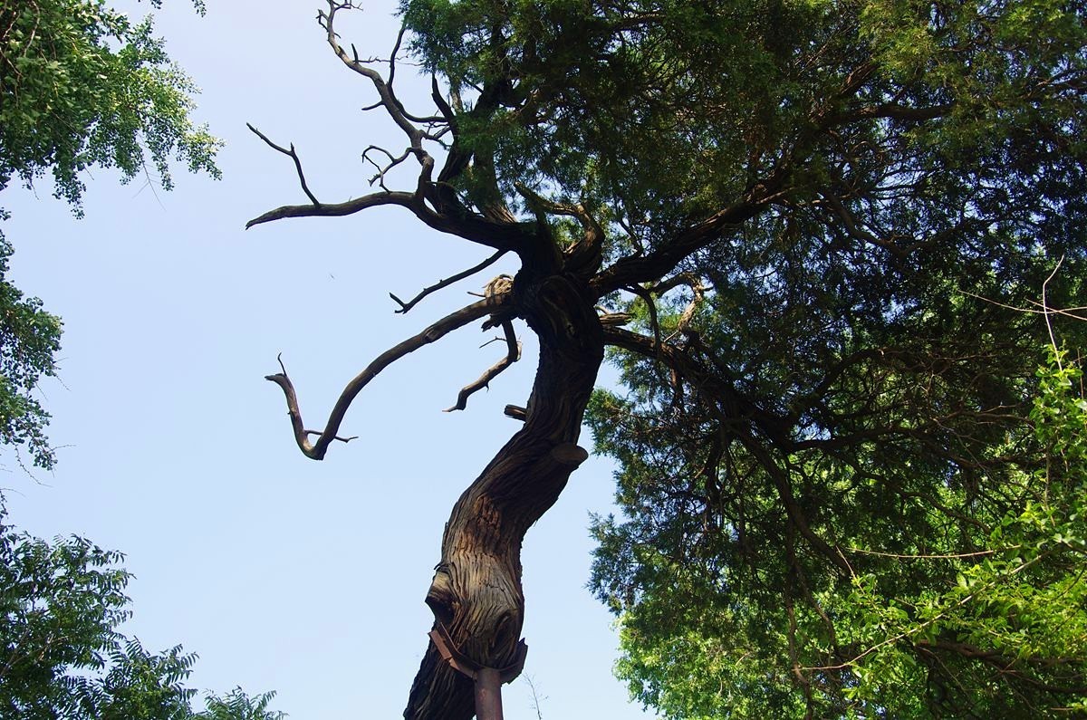 戚继光故居--续