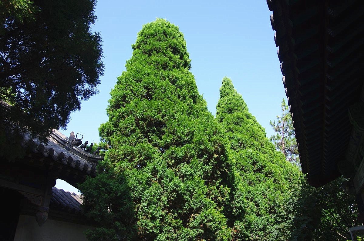 戚继光故居--续