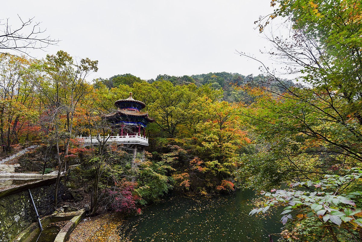 关山湖小景  续