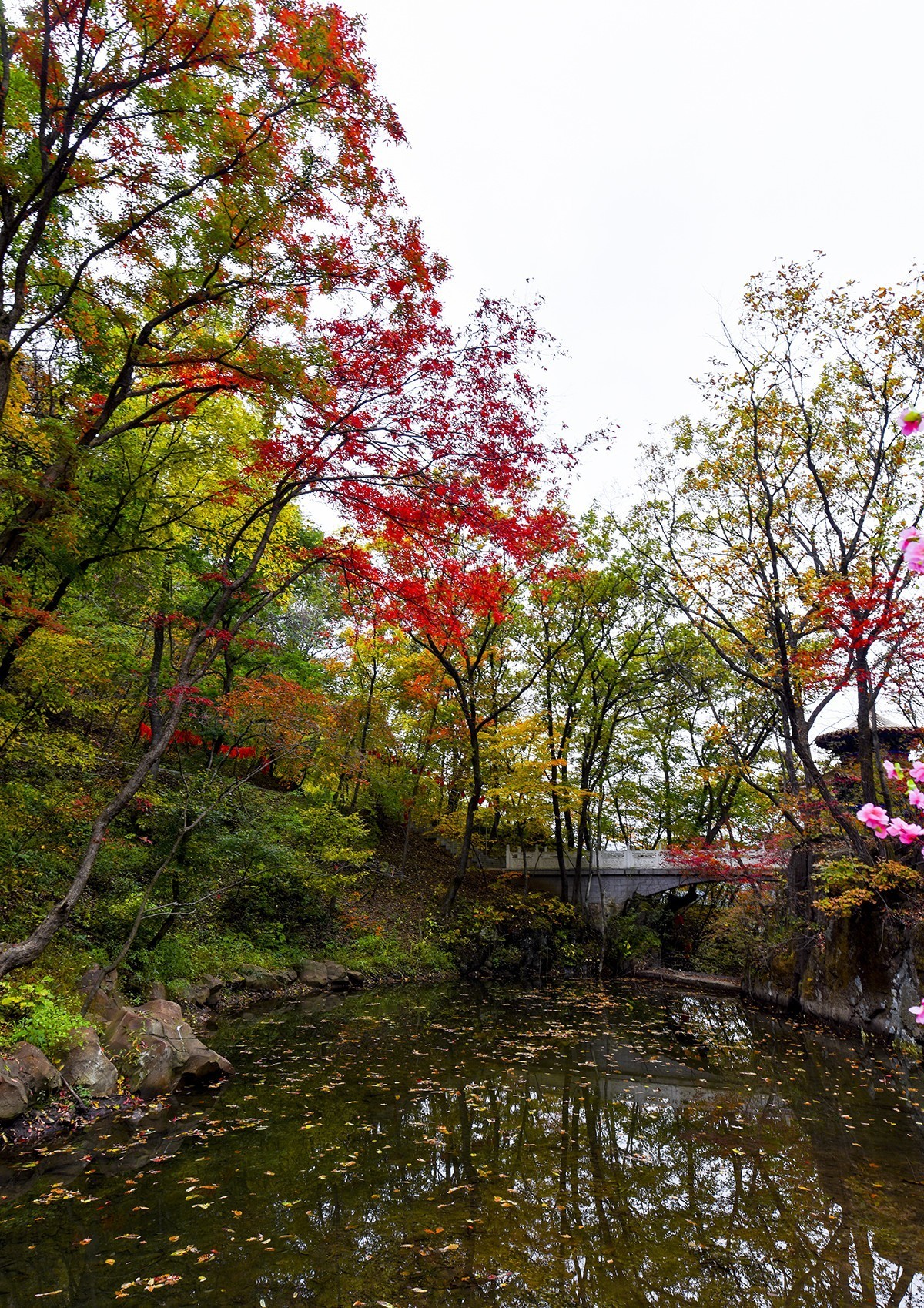 关山湖小景  续