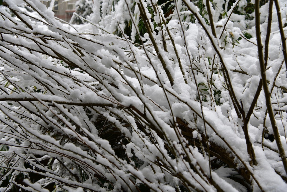 长沙下大雪啦，影记小区美妙雪景（下）