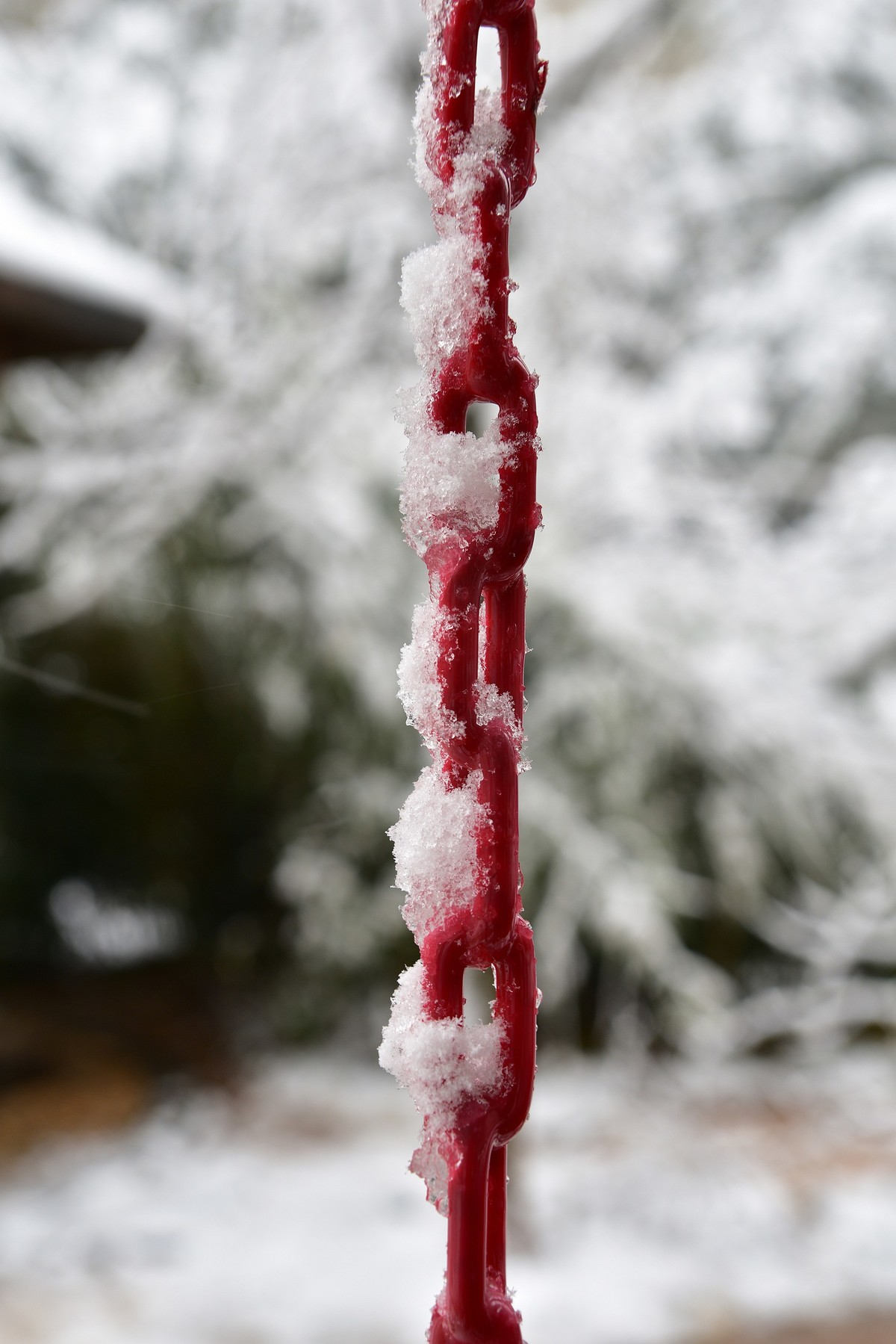 长沙下大雪啦，影记小区美妙雪景（下）