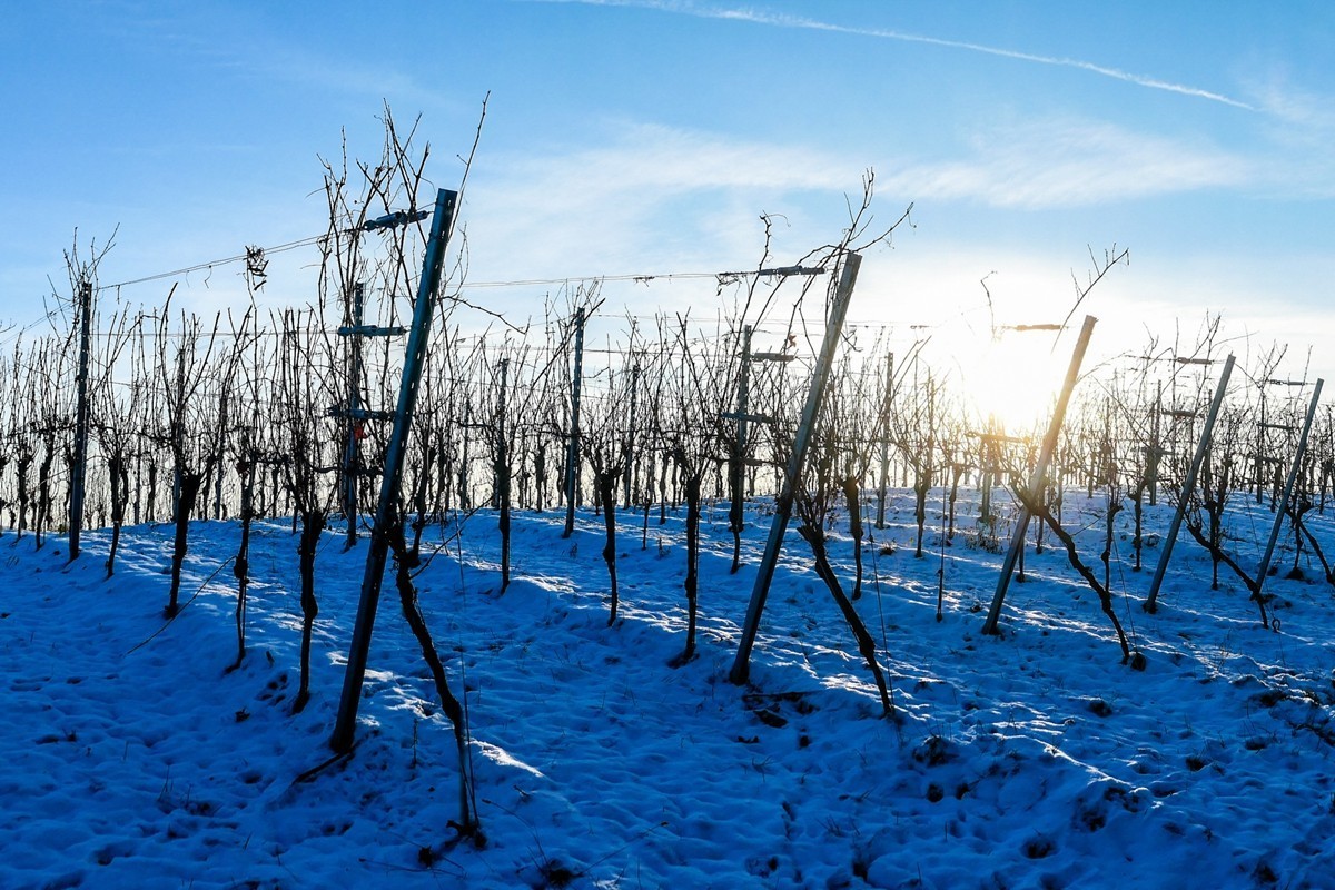 雪景山野（南德）