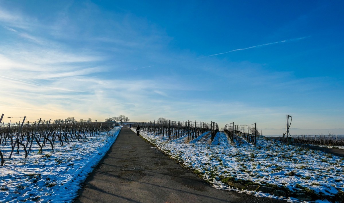 雪景山野（南德）