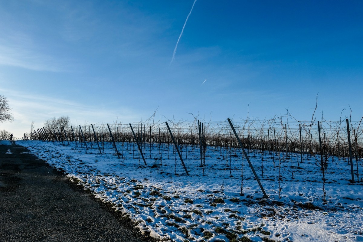 雪景山野（南德）
