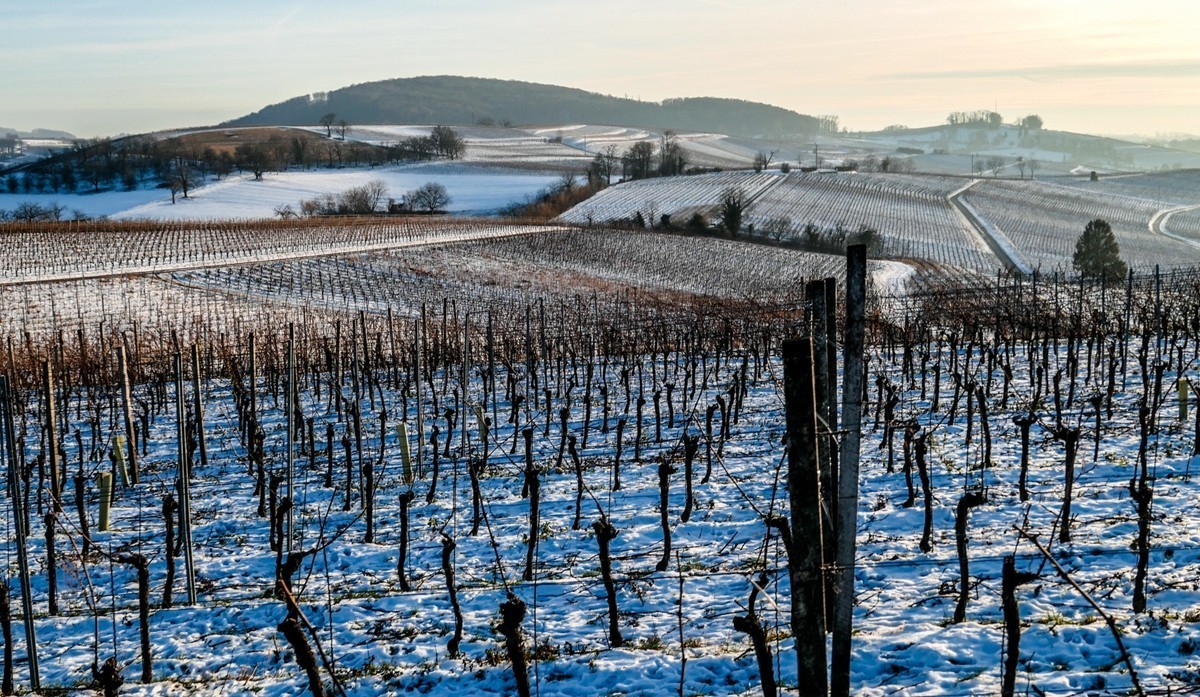 雪景山野（南德）